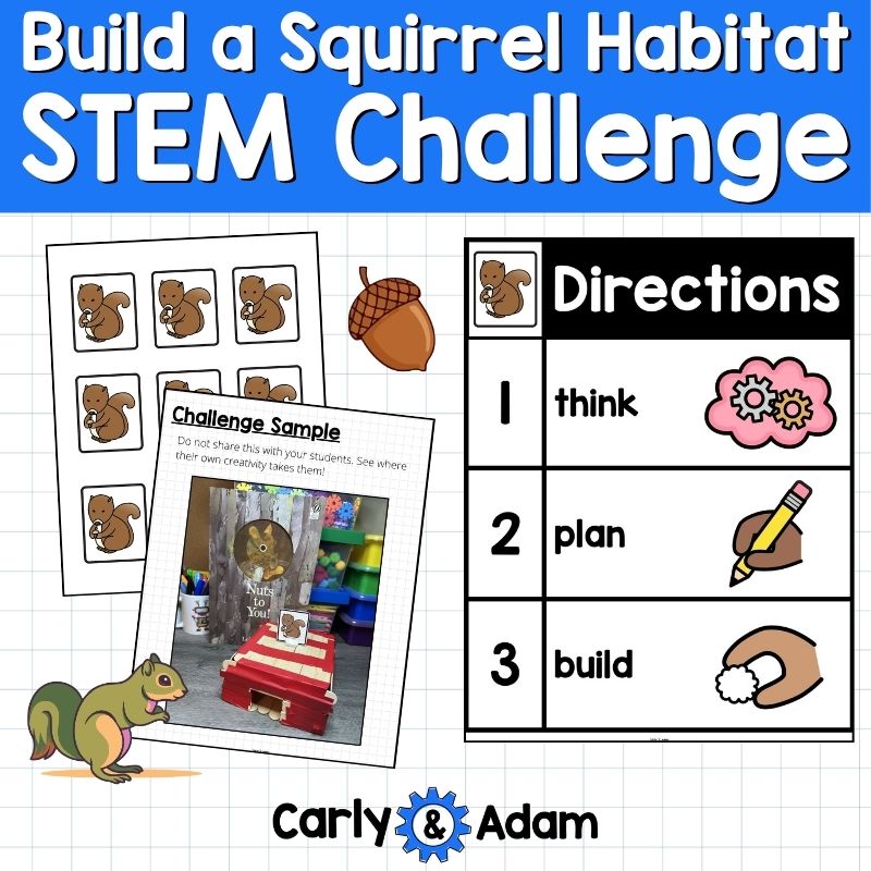 Build a Squirrel Habitat STEM Challenge Pre-k and Kindergarten Spring Activity — preview 2