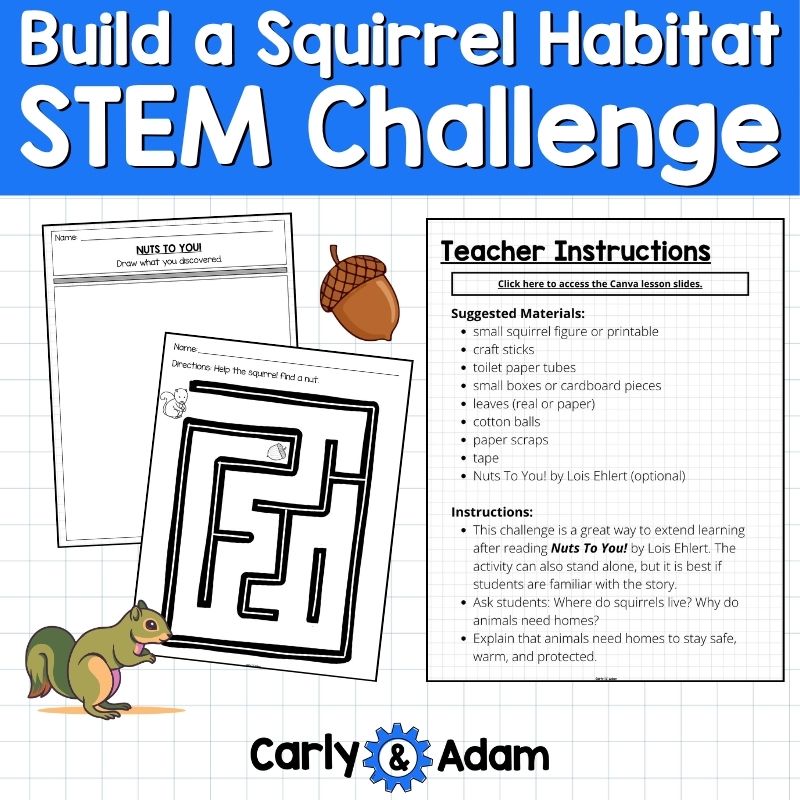 Build a Squirrel Habitat STEM Challenge Pre-k and Kindergarten Spring Activity — preview 3