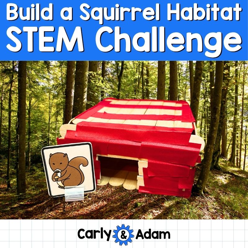Build a Squirrel Habitat STEM Challenge Pre-k and Kindergarten Spring Activity — preview 1