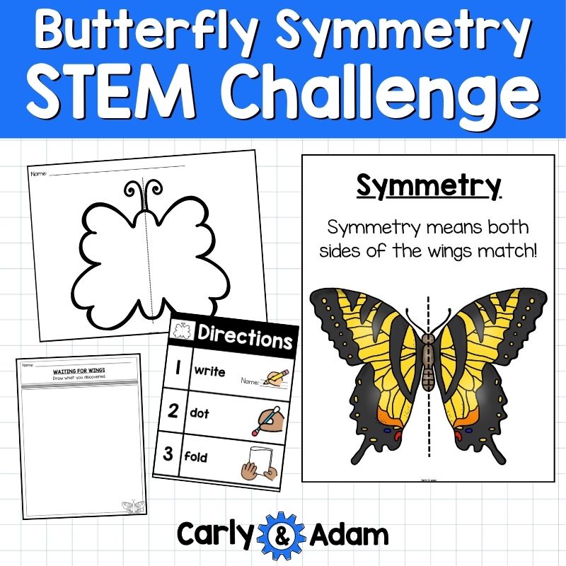 Butterfly Symmetry Lesson Waiting for Wings Pre-K and Kindergarten Activity — preview 3