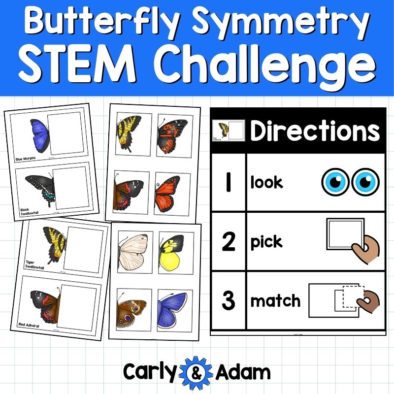 Butterfly Symmetry Lesson Waiting for Wings Pre-K and Kindergarten Activity — preview 4