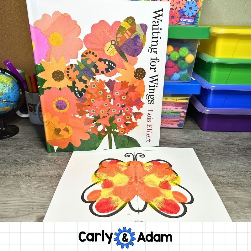 Butterfly Symmetry Lesson Waiting for Wings Pre-K and Kindergarten Activity — preview 7