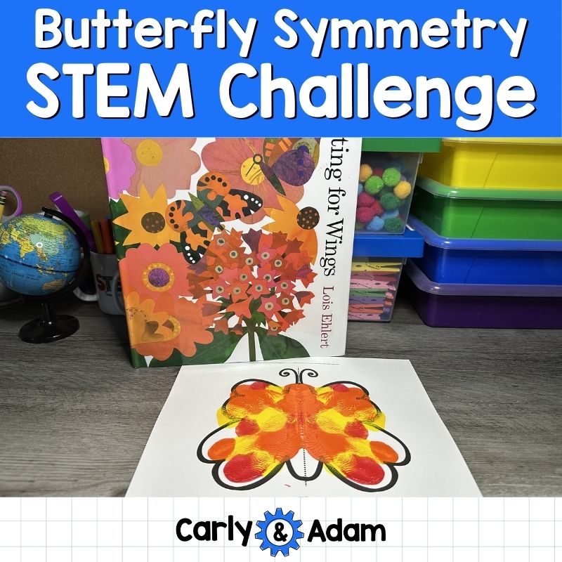 Butterfly Symmetry Lesson Waiting for Wings Pre-K and Kindergarten Activity — preview 1