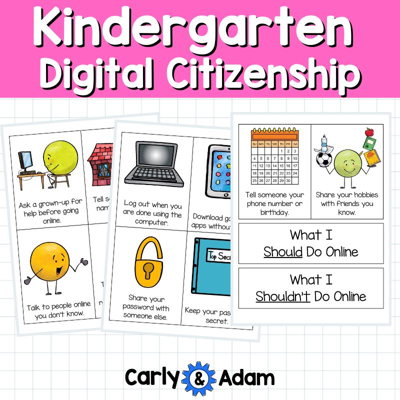 Kindergarten Digital Citizenship Lesson Plan Online Safety Chicken Clicking — preview 7