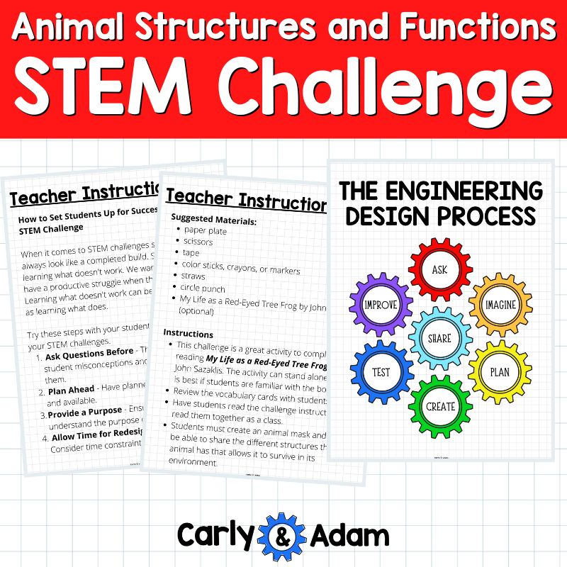 Animal Structures and Functions STEM Challenge — preview 3
