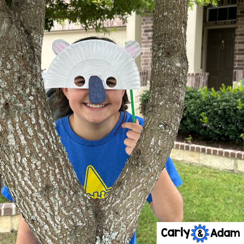 Animal Structures and Functions STEM Challenge — preview 5