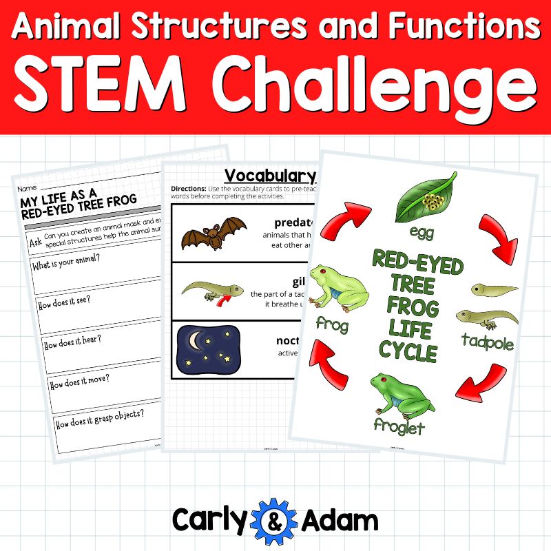 Animal Structures and Functions STEM Challenge — preview 6