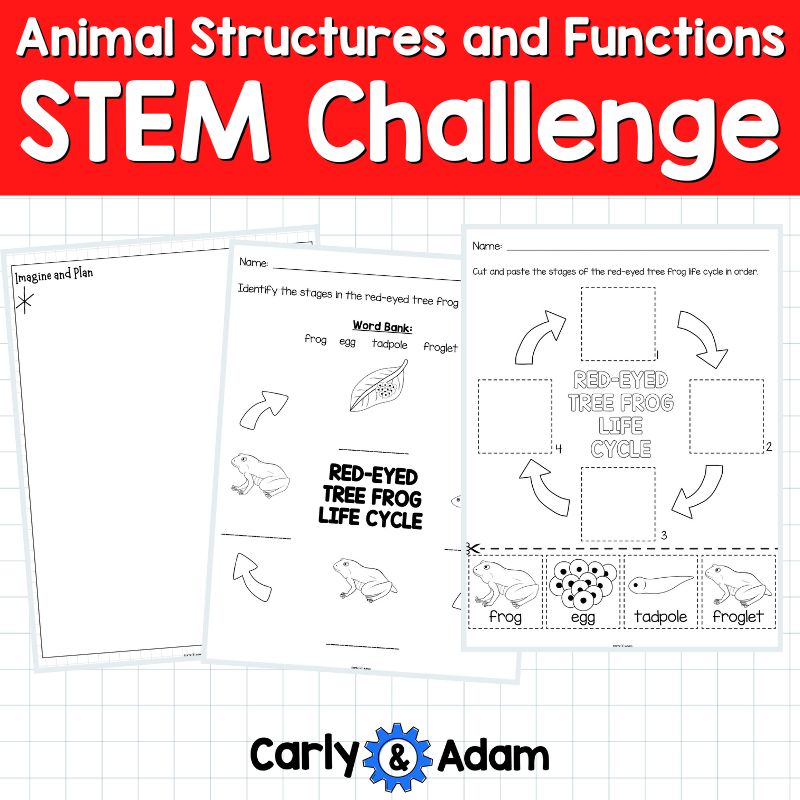 Animal Structures and Functions STEM Challenge — preview 8