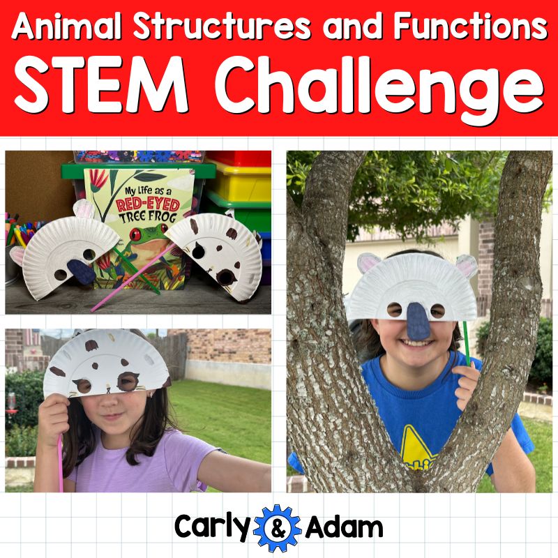 Animal Structures and Functions STEM Challenge — preview 1