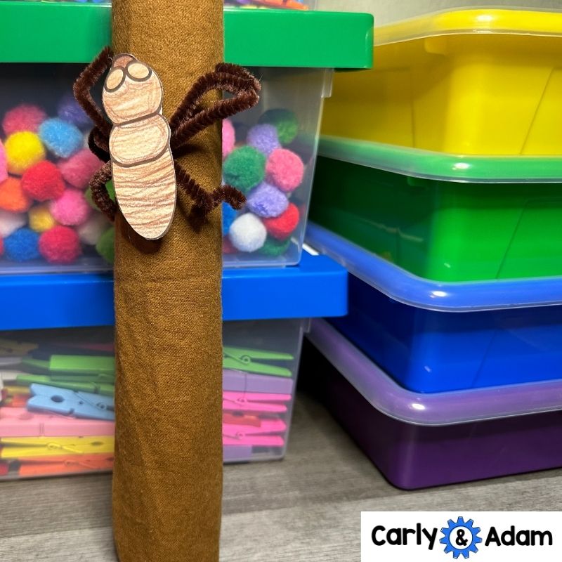 Cicada Life Cycle STEM Challenge Cicada Emergence, Broods, Bug Science — preview 4