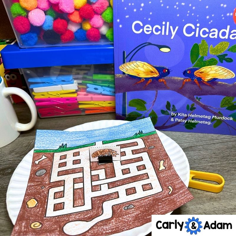 Cicada Life Cycle STEM Challenge Cicada Emergence, Broods, Bug Science — preview 6