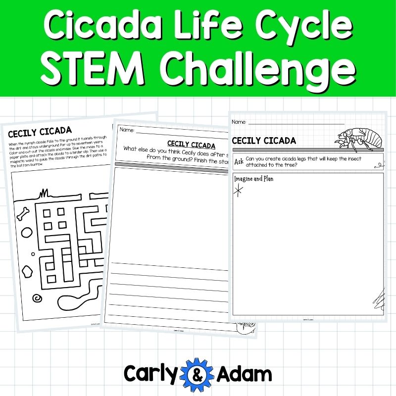 Cicada Life Cycle STEM Challenge Cicada Emergence, Broods, Bug Science — preview 7