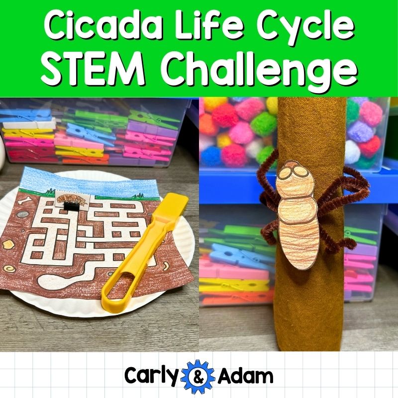 Cicada Life Cycle STEM Challenge Cicada Emergence, Broods, Bug Science — preview 1