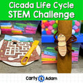 Cicada Life Cycle STEM Challenge Cicada Emergence, Broods, Bug Science — preview 1