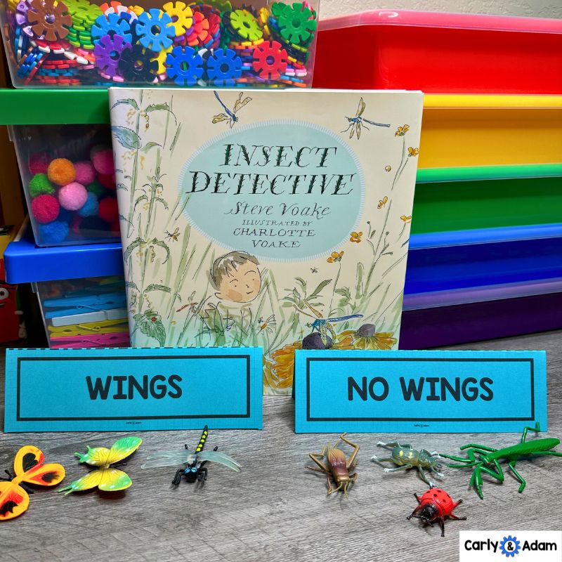 Kindergarten STEM Challenge Bug Sort, Bugs investigation, Insect Detective Book — preview 4