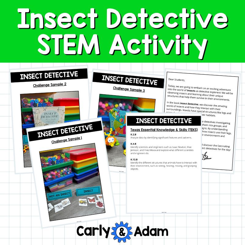 Kindergarten STEM Challenge Bug Sort, Bugs investigation, Insect Detective Book — preview 5