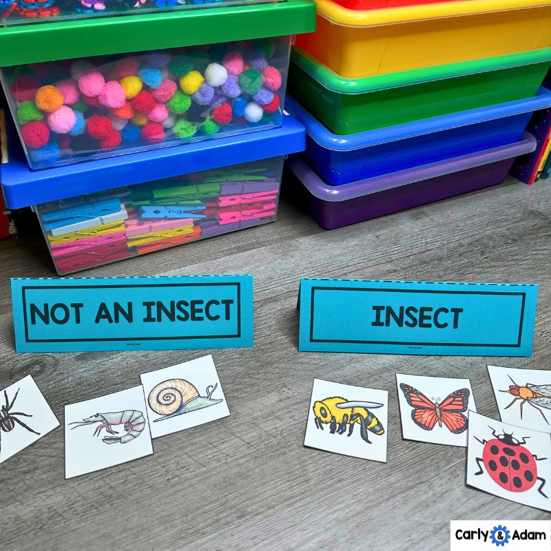Kindergarten STEM Challenge Bug Sort, Bugs investigation, Insect Detective Book — preview 7