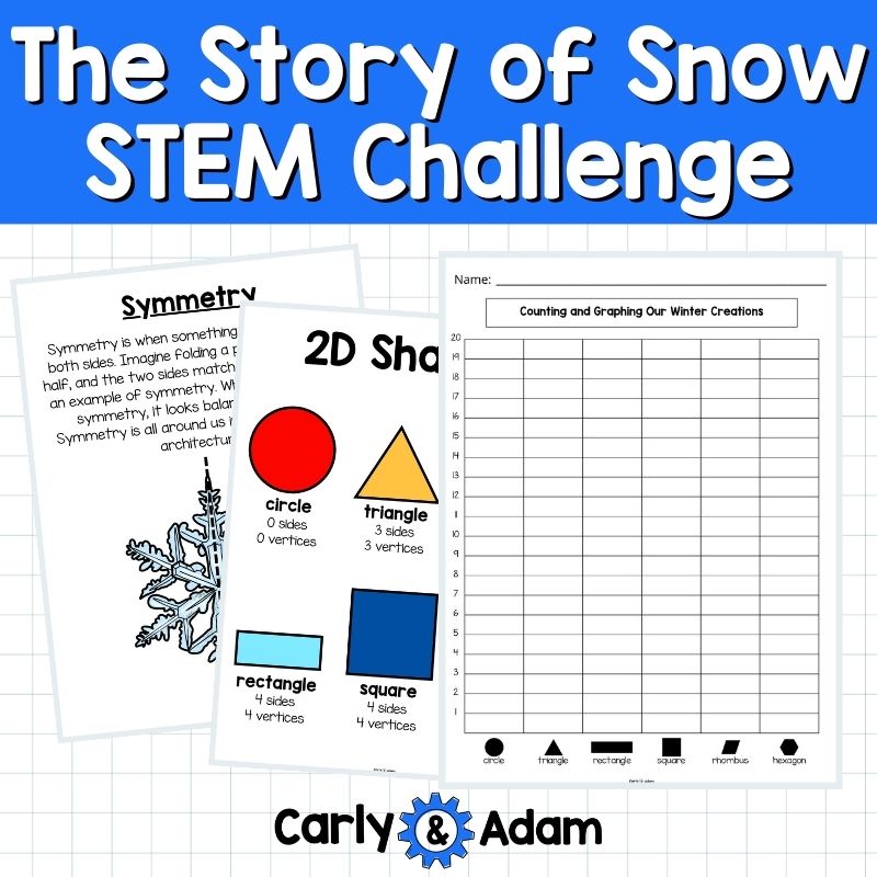 The Story of Snow Snowflakes Winter STEM Activity 2D Shapes — preview 3