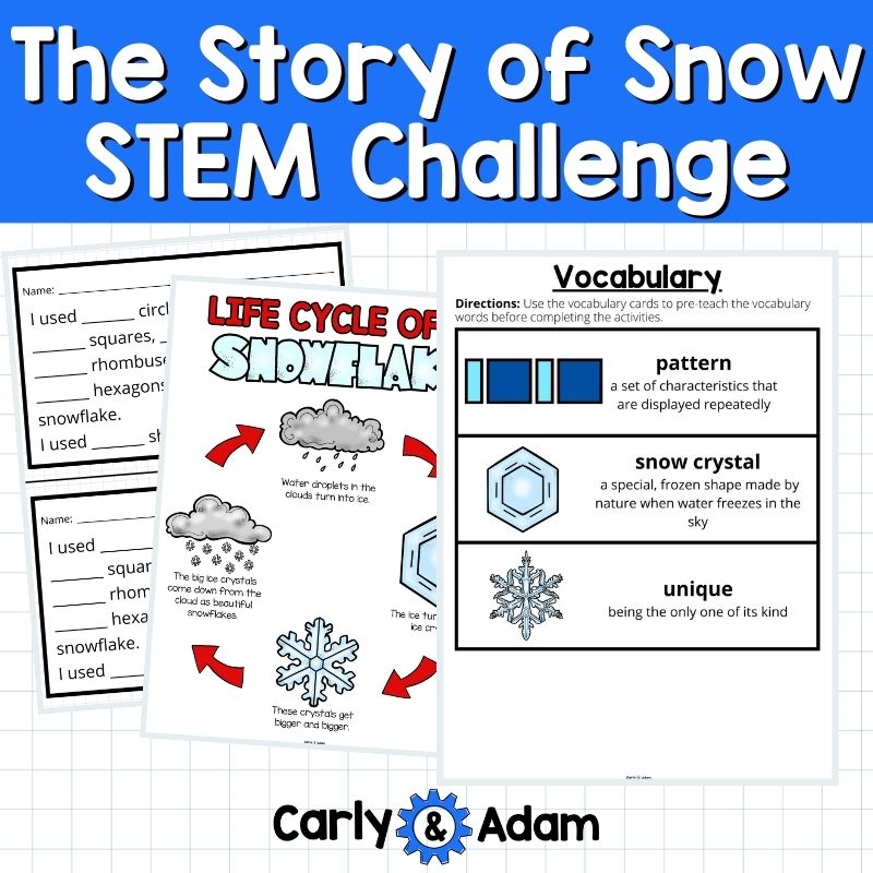 The Story of Snow Snowflakes Winter STEM Activity 2D Shapes — preview 4