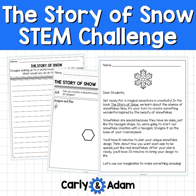 The Story of Snow Snowflakes Winter STEM Activity 2D Shapes — preview 6