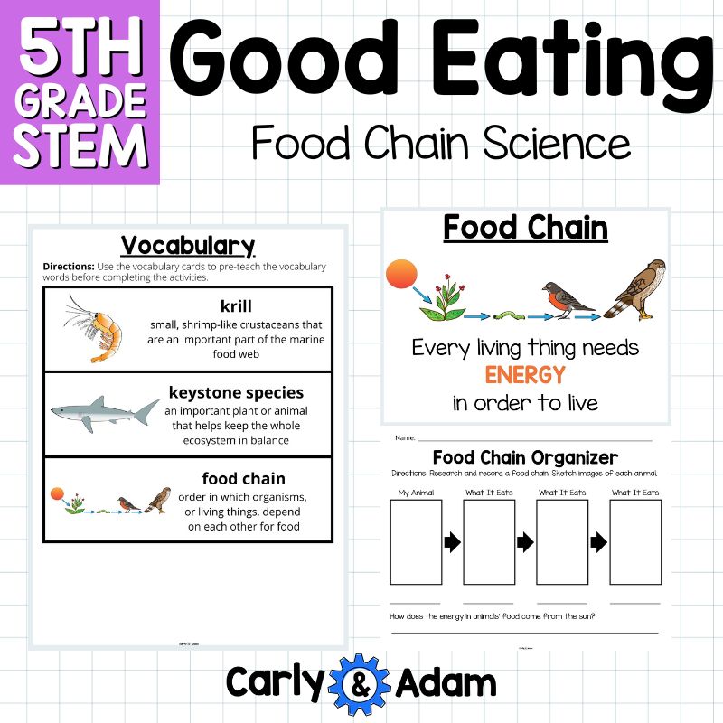 Good Eating Read Aloud 5th Grade Food Chain Science Activity 5-PS3-1 — preview 4