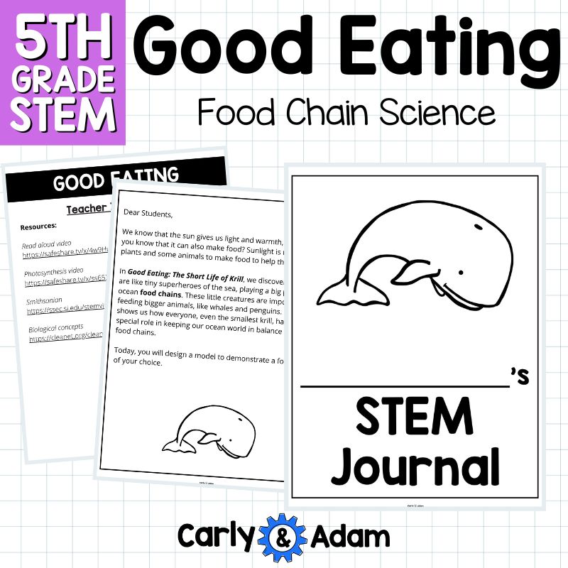 Good Eating Read Aloud 5th Grade Food Chain Science Activity 5-PS3-1 — preview 7