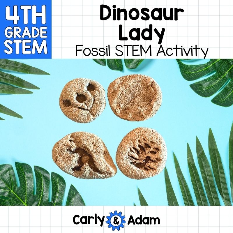 4th Grade Science Dinosaur Lady Read Aloud STEM Challenge Make Fossils — preview 1