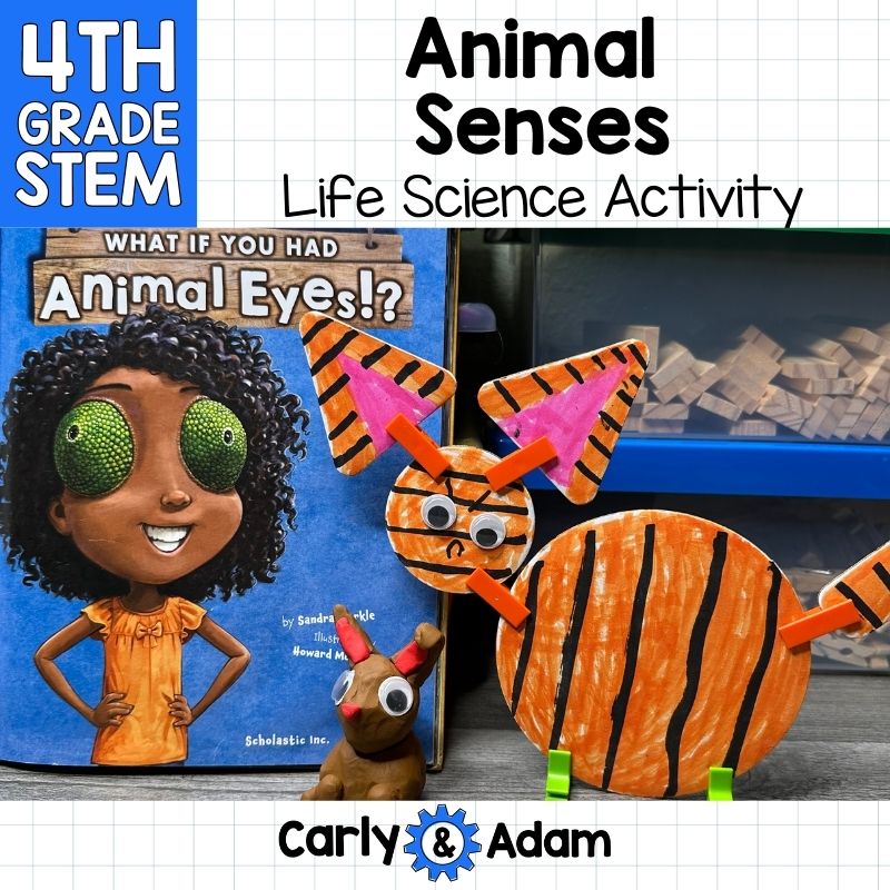 4th Grade Science Lesson Animal Senses - What If You Had Animal Eyes? — preview 1