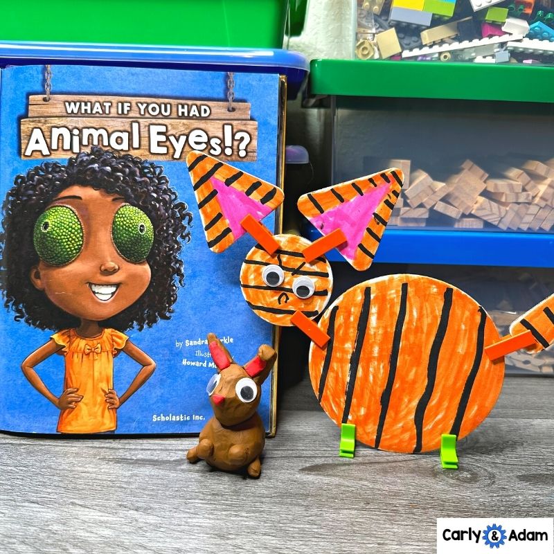 4th Grade Science Lesson Animal Senses - What If You Had Animal Eyes? — preview 2