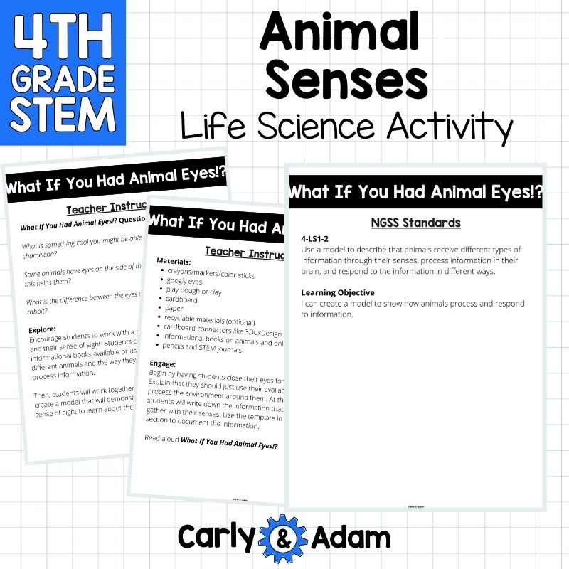 4th Grade Science Lesson Animal Senses - What If You Had Animal Eyes? — preview 3