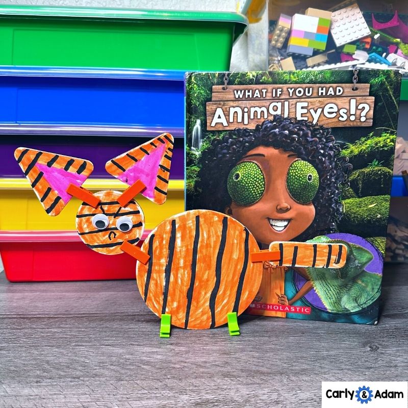 4th Grade Science Lesson Animal Senses - What If You Had Animal Eyes? — preview 4