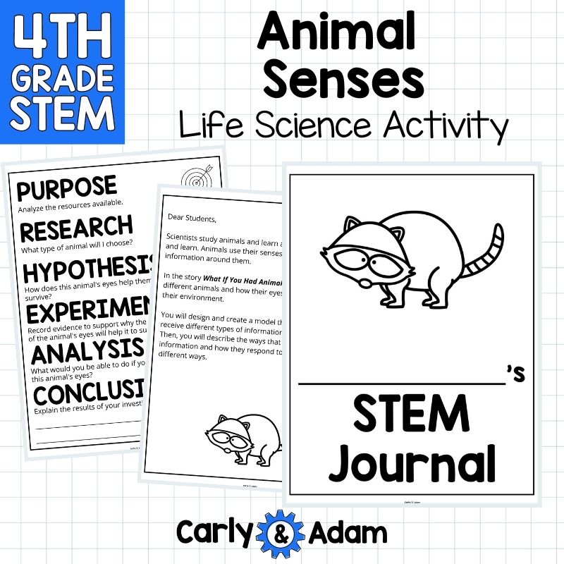 4th Grade Science Lesson Animal Senses - What If You Had Animal Eyes? — preview 5