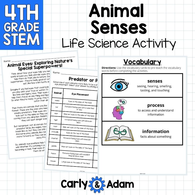 4th Grade Science Lesson Animal Senses - What If You Had Animal Eyes? — preview 7