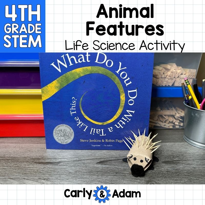 4th Grade Science Lesson Animal Features and Animal Traits — preview 1