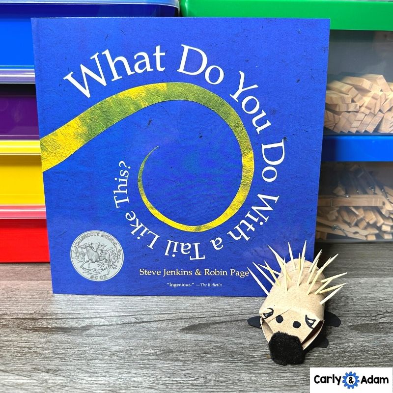 4th Grade Science Lesson Animal Features and Animal Traits — preview 2