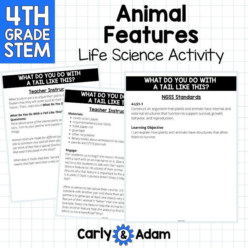 4th Grade Science Lesson Animal Features and Animal Traits — preview 3