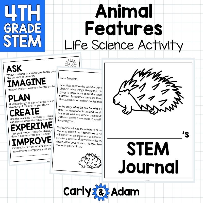 4th Grade Science Lesson Animal Features and Animal Traits — preview 5