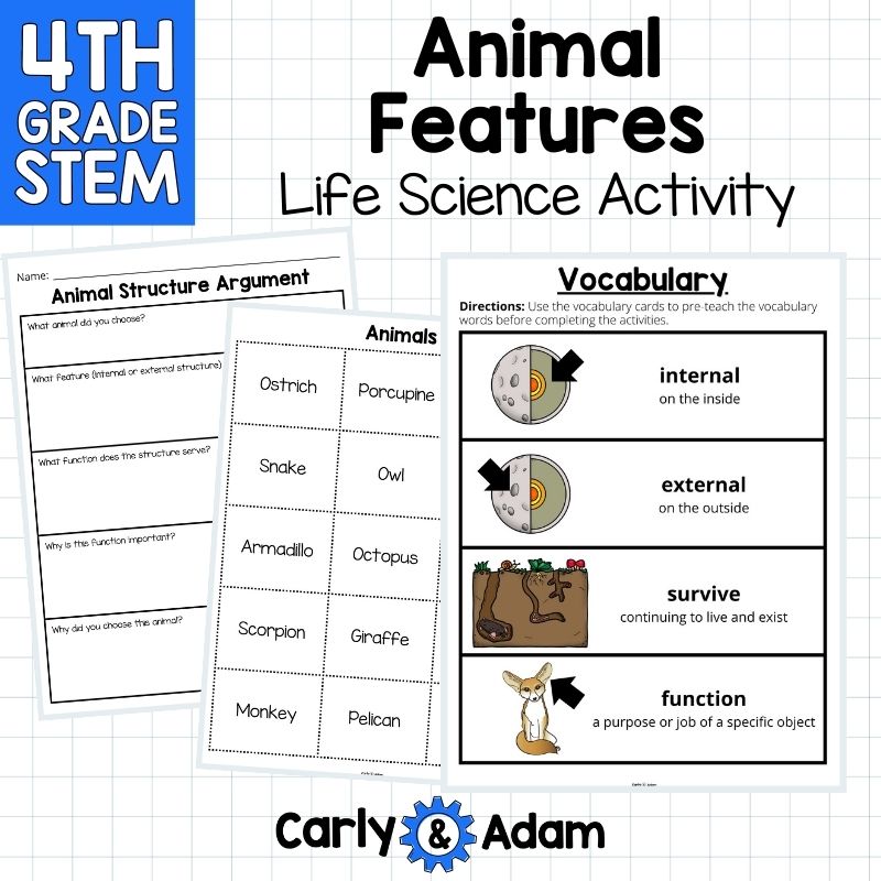 4th Grade Science Lesson Animal Features and Animal Traits — preview 7