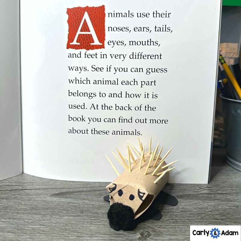 4th Grade Science Lesson Animal Features and Animal Traits — preview 8