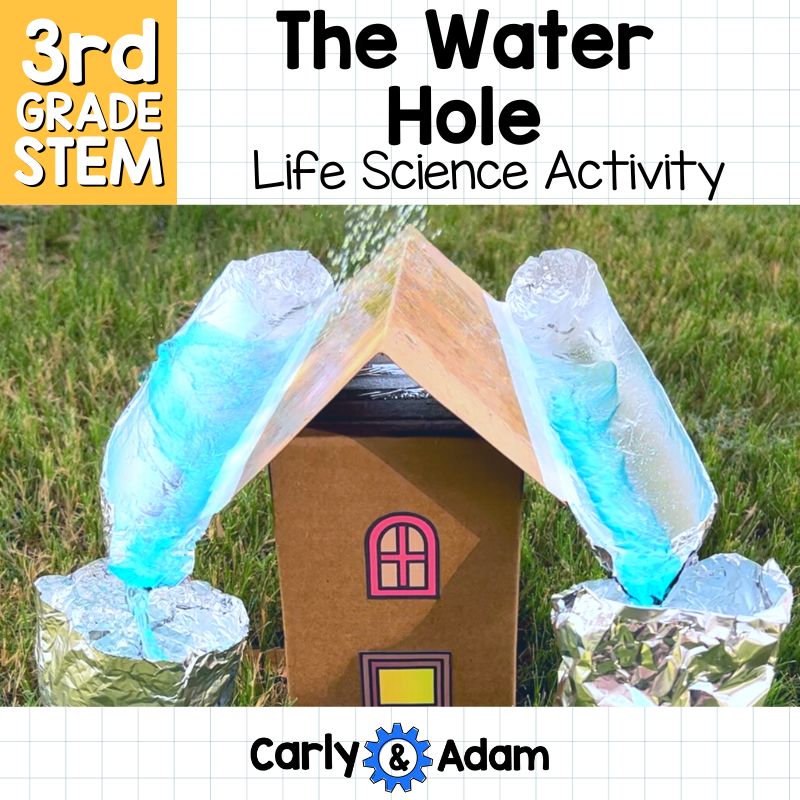 The Water Hole Read Aloud 3rd Grade Science Lesson — preview 10