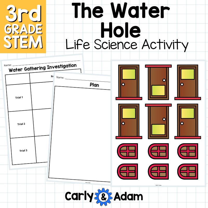 The Water Hole Read Aloud 3rd Grade Science Lesson — preview 13