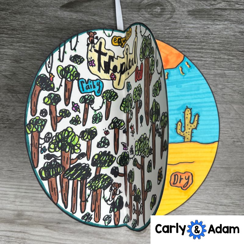 Climate Zones 3rd Grade STEM Activity Science Lesson — preview 6