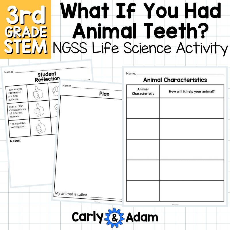 What If You Had Animal Teeth? Animal Maker 3rd Grade STEM Activity NGSS 3-LS4-2 — preview 4