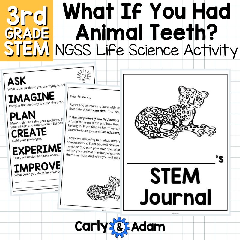 What If You Had Animal Teeth? Animal Maker 3rd Grade STEM Activity NGSS 3-LS4-2 — preview 9