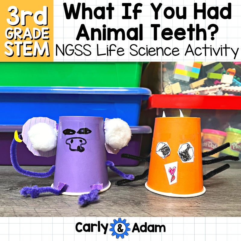 What If You Had Animal Teeth? Animal Maker 3rd Grade STEM Activity NGSS 3-LS4-2 — preview 1