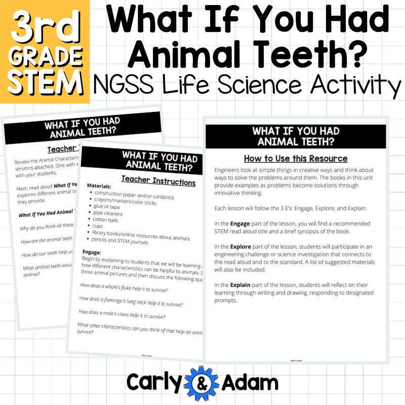 What If You Had Animal Teeth? Animal Maker 3rd Grade STEM Activity NGSS 3-LS4-2 — preview 10