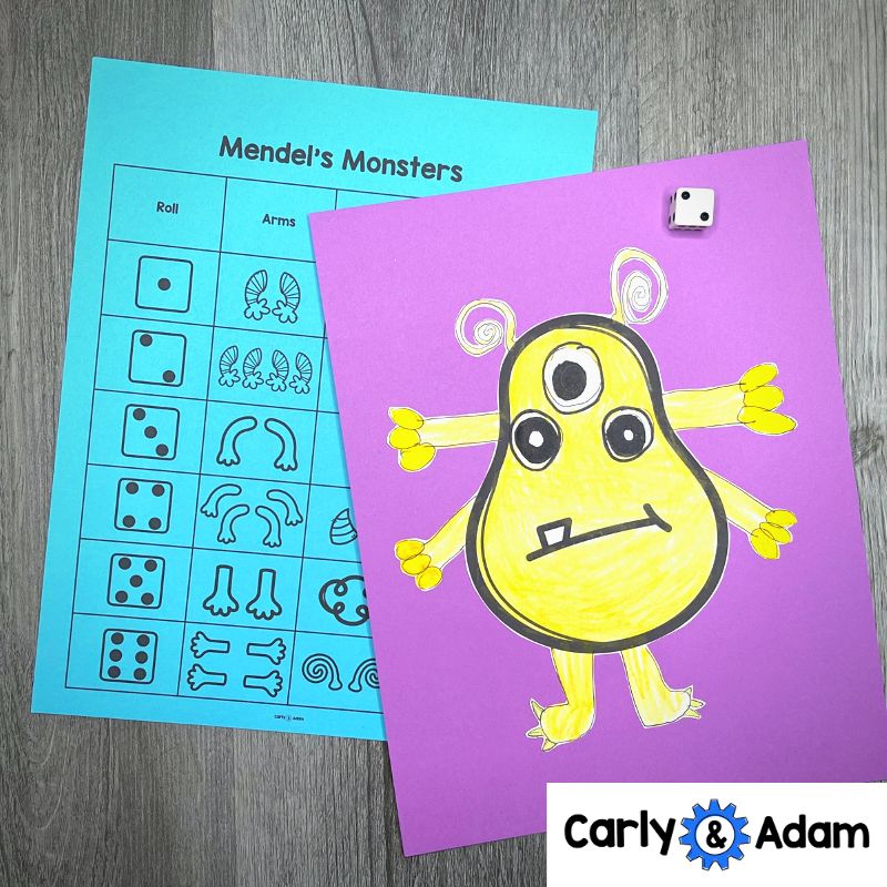 Gregor Mendel Monster Traits 3rd Grade STEM Activity NGSS Heredity 3-LS3-2 — preview 6