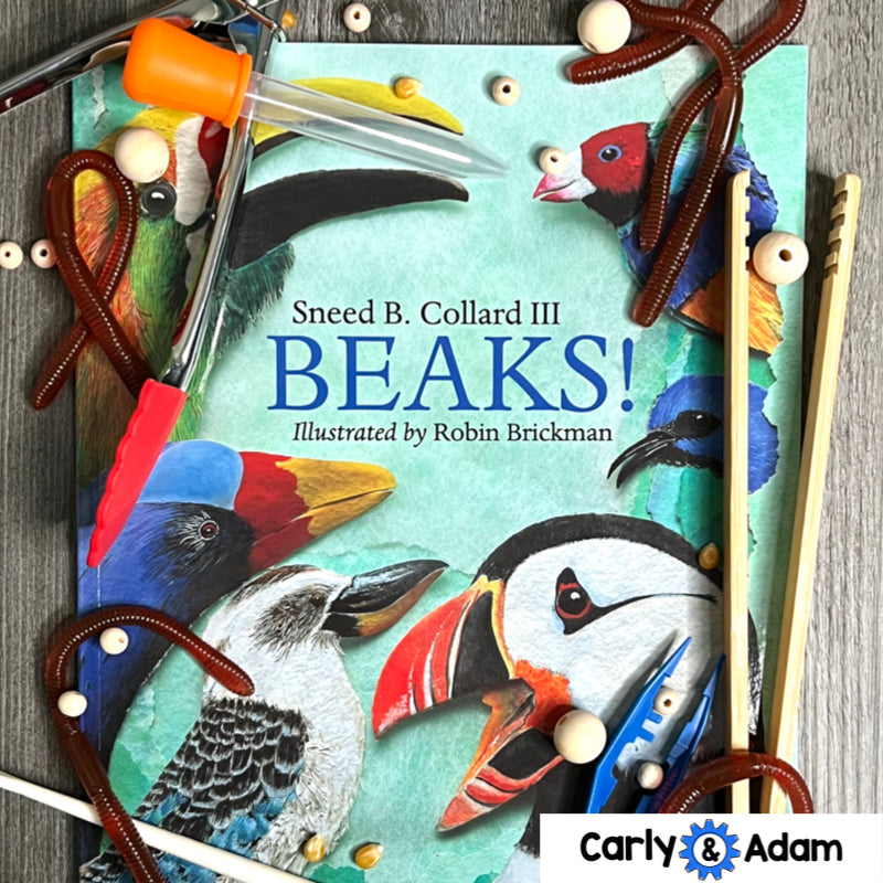 Bird Beaks 3rd Grade STEM Activity NGSS Life Science 3-LS4-3 — preview 2
