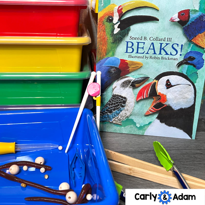 Bird Beaks 3rd Grade STEM Activity NGSS Life Science 3-LS4-3 — preview 3