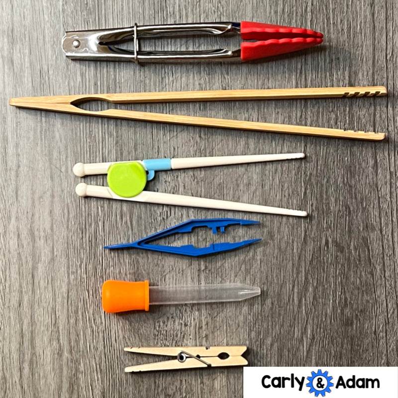 Bird Beaks 3rd Grade STEM Activity NGSS Life Science 3-LS4-3 — preview 4